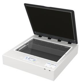 wt25-6001.jpg